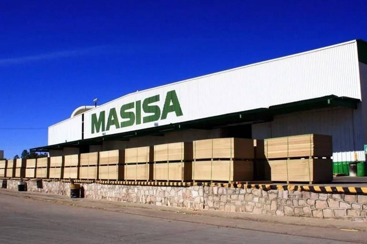 Otra empresa chilena se fue de la Argentina: un gigante del negocio forestal vendió su operación por USD 70 millones