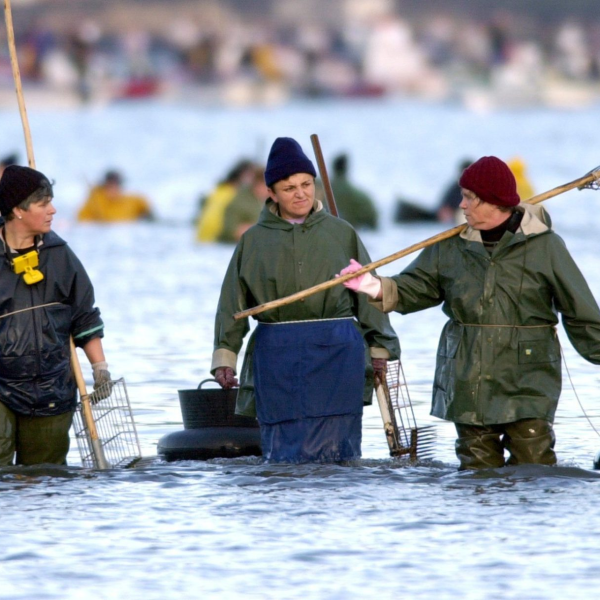 Mujeres Innova la Pesca: Apoyo a Emprendedoras del Mar