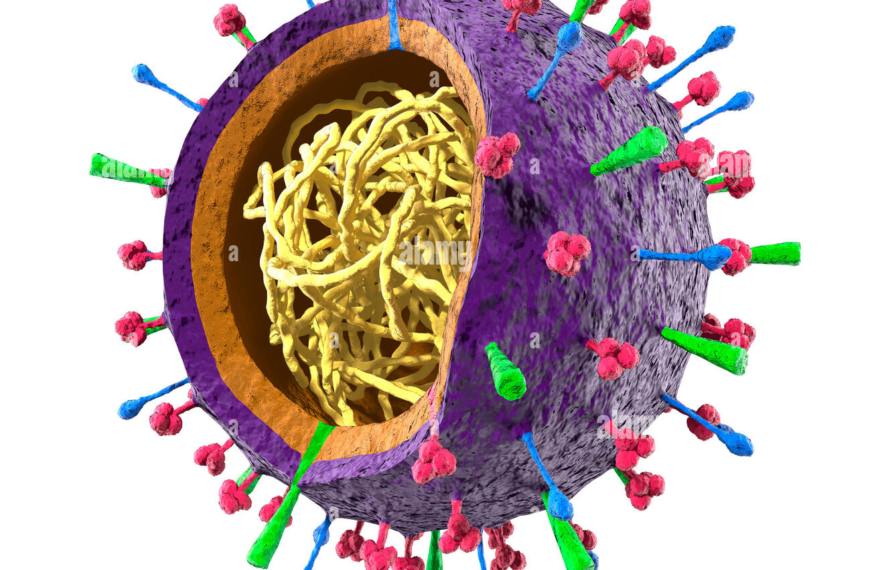 Virus de la Gripe Aviar en la Antártida: Un Estudio Reciente
