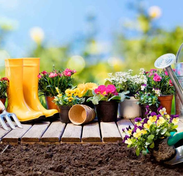 Consejos de jardinería: Mejora tu espacio verde fácilmente
