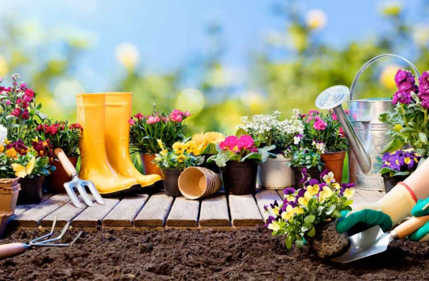 Consejos de jardinería: Mejora tu espacio verde fácilmente