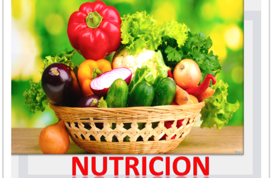 Nutrición Saludable: Claves para Mejorar tu Dieta Diaria