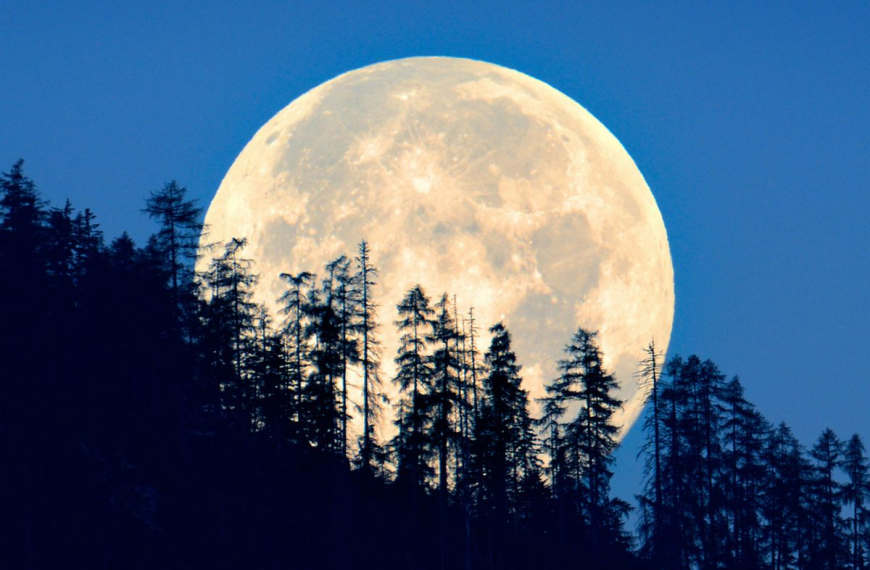 Súper Lunes: Medidas y Proyectos Clave en Chile