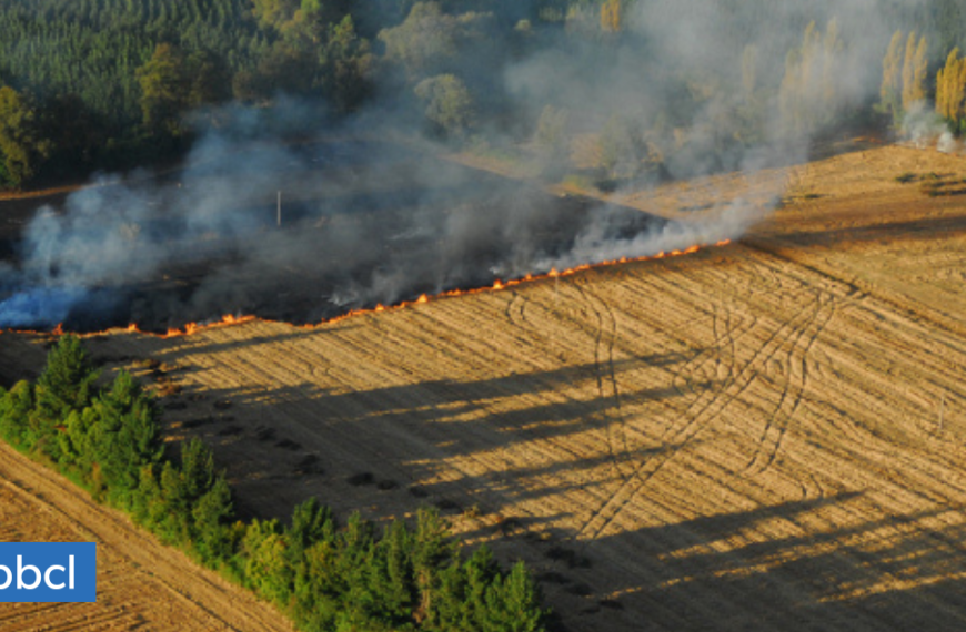 Incendios agrícolas La Araucanía: Demandas de los diputados