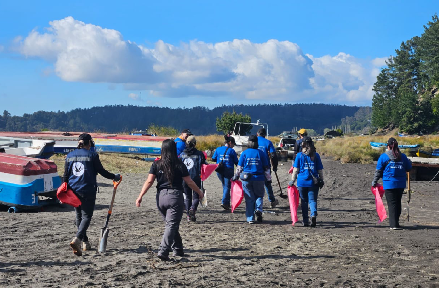 Fundos concursables Scotiabank para proyectos sociales