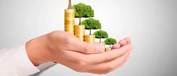 Hacer crecer tu dinero: Opciones seguras y rentables